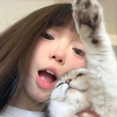 老虎队